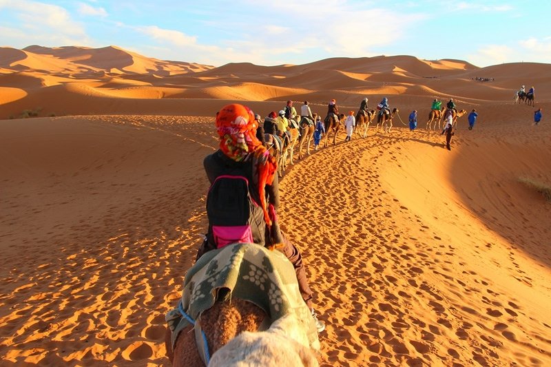 Camel caravan crossing golden sand dunes in desert landscape at sunset with tourists riding camels in single file