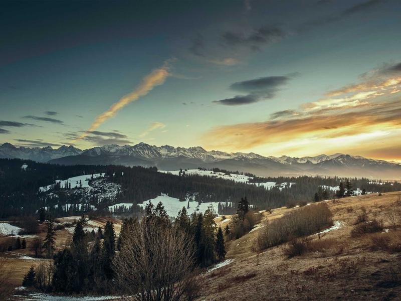 From Perfect to Comprehensive a Creativity Reports